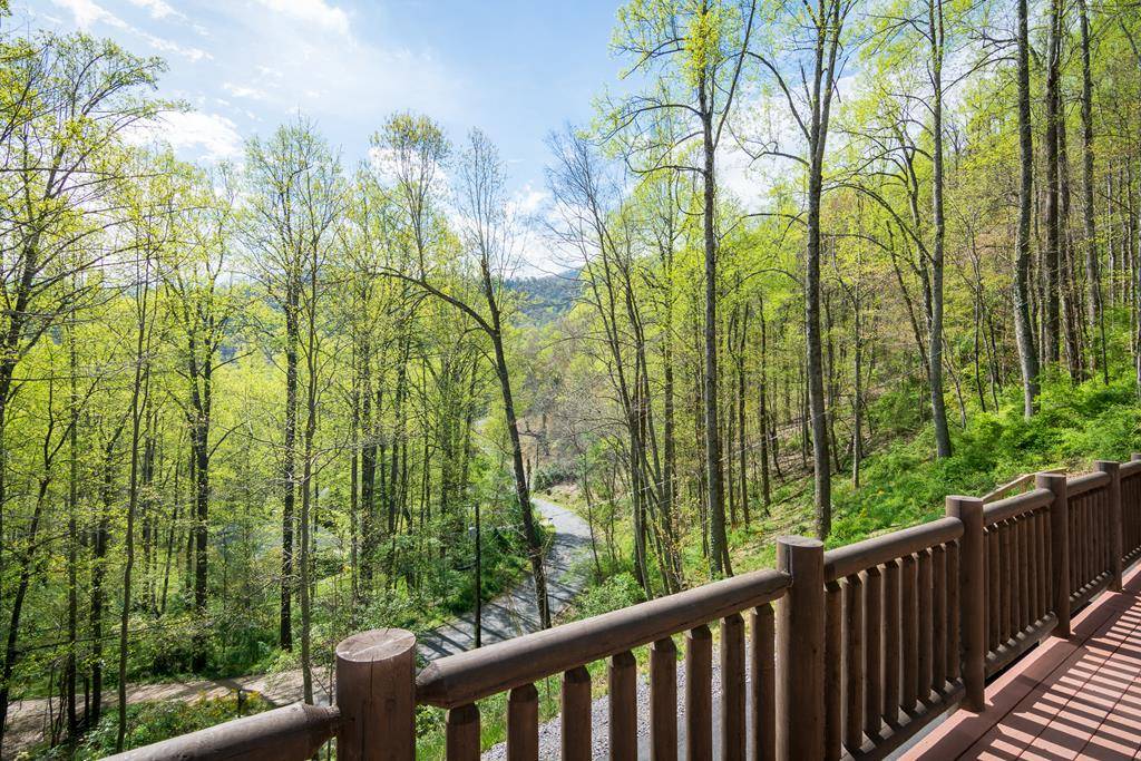 Black Mountain Vacation Rental