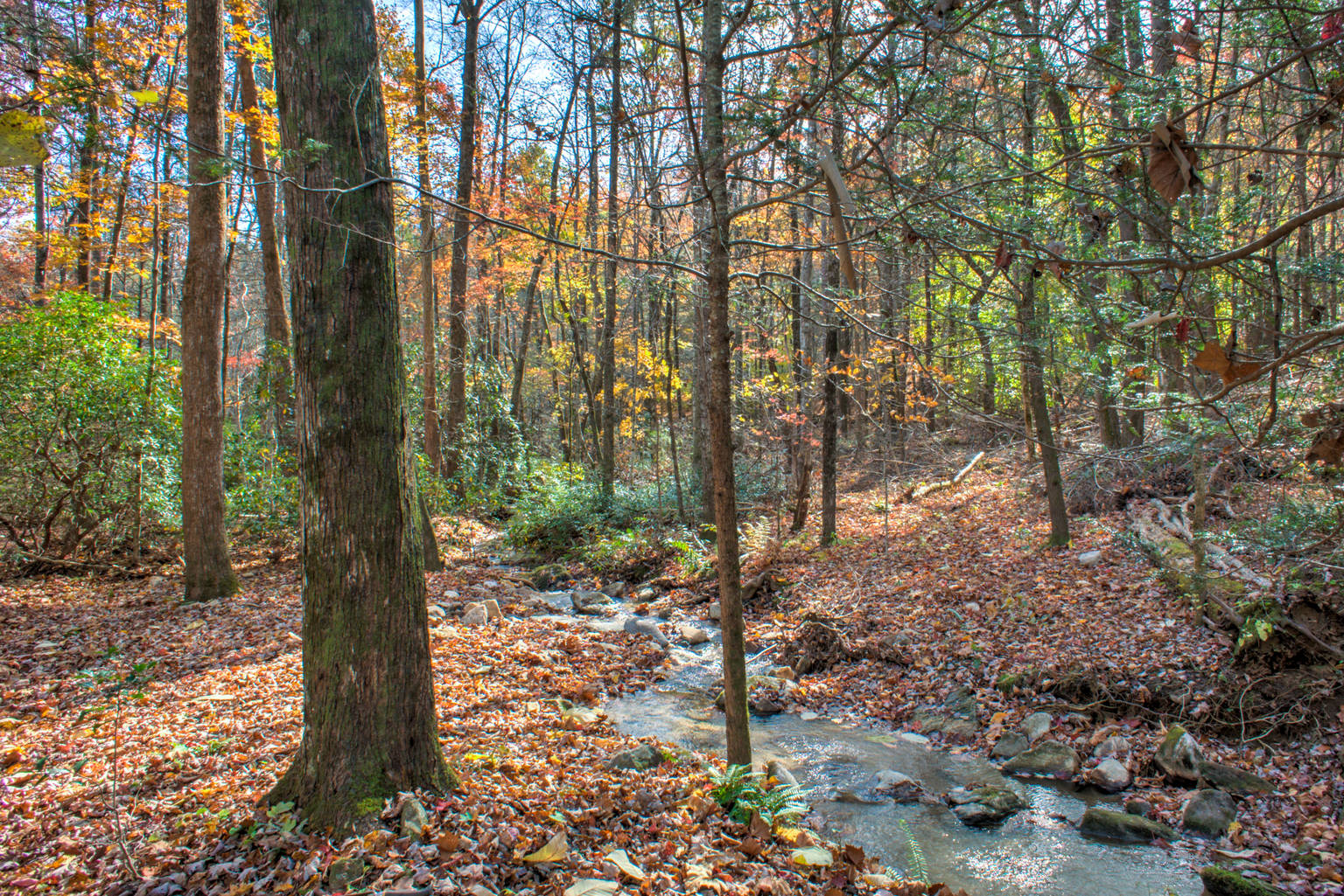 Lake Lure Vacation Rental