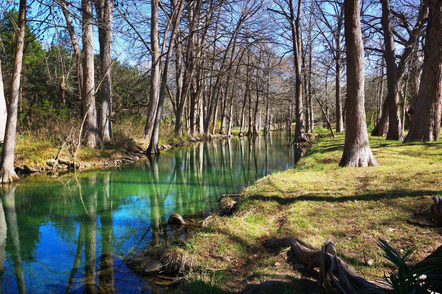 Wimberley Vacation Rental