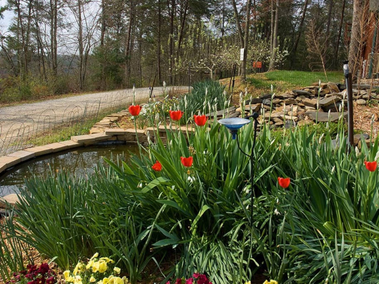 Blue Ridge Vacation Rental