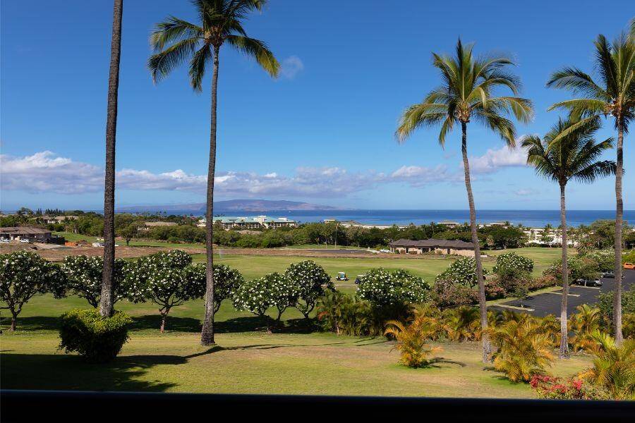 Wailea, Maui Vacation Rental