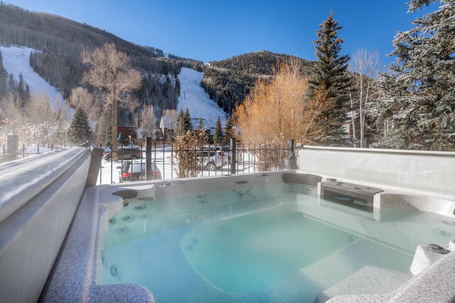 Telluride Vacation Rental