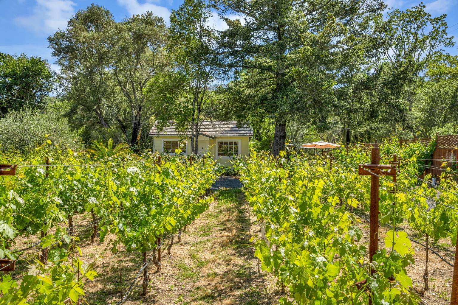 Glen Ellen Vacation Rental