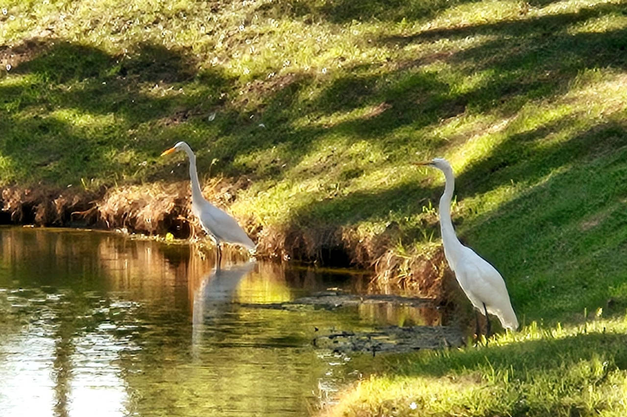 Beaufort Vacation Rental