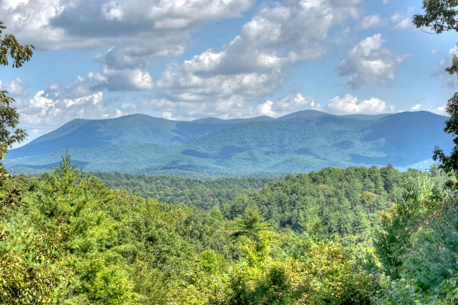 Ellijay Vacation Rental