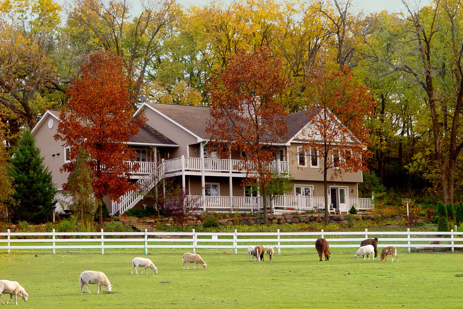 Madison Vacation Rental