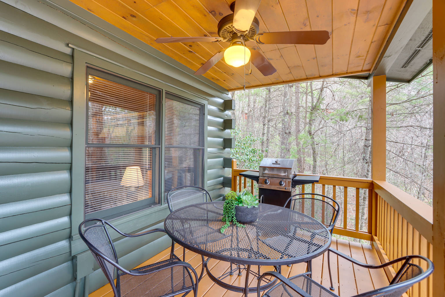 Ellijay Vacation Rental