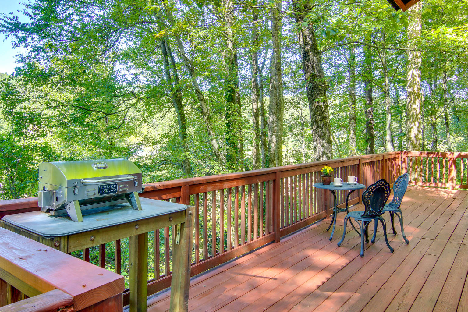 Hendersonville Vacation Rental