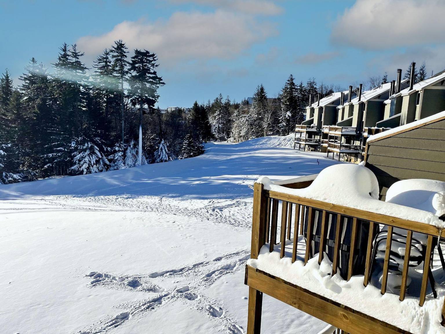 Snowshoe Vacation Rental