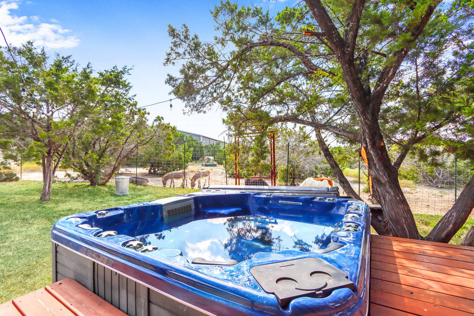 Dripping Springs Vacation Rental