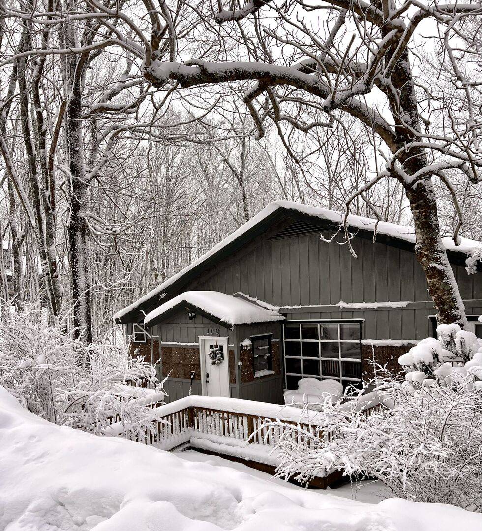 Beech Mountain Vacation Rental