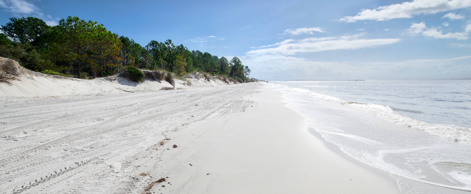 Amelia Island, Florida Vacation Rentals: Beachfront Homes, Condos, & More