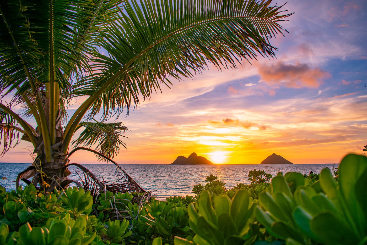 Oahu, Hawaii Vacation Rentals: Condos, Cottages, Cabins, & Beachfront Rentals