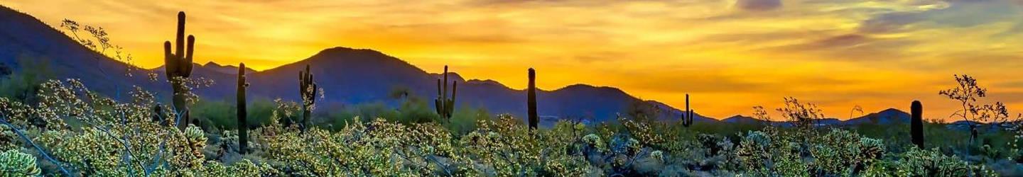 Scottsdale, Arizona Vacation Rentals: Houses, Luxury Villas, & More