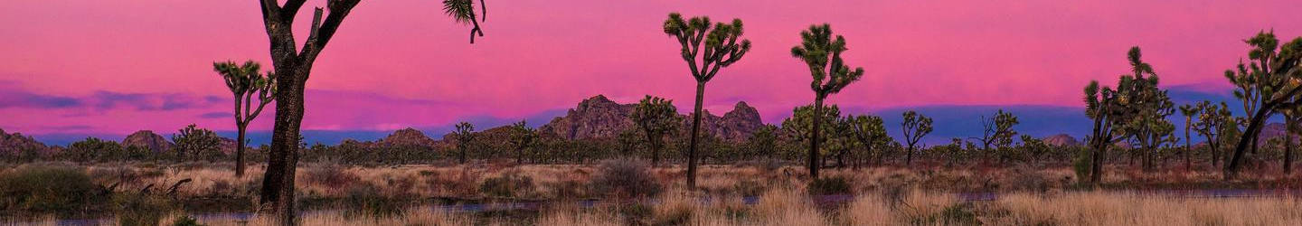 Joshua Tree, California Vacation Rentals: Cabins, Condos, Houses, & Unique Desert Stays